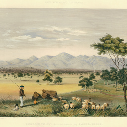 Lynedoch Valley