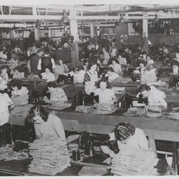 Female machinists.