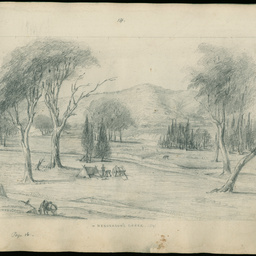 Drawings from the Frome expedition