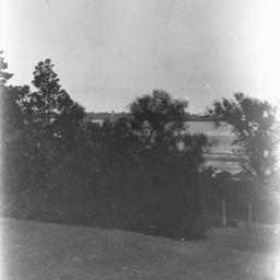 Rural scene