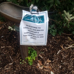Adelaide Botanic Garden