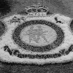 Volunteer Defence Corps in S.A.: badge
