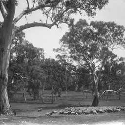 Mount Crawford