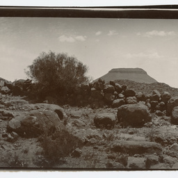 South African scene