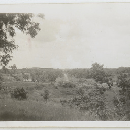 Colin James Ellis, World War II photograph album, Darwin.