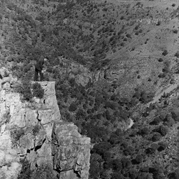 Morialta Reserve