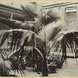 Photographs of Adelaide scenes