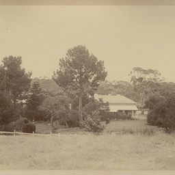 Robert Davenport family album