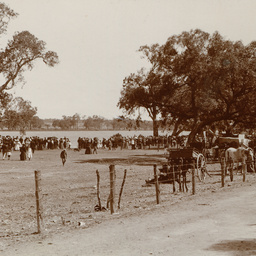 Recreation Ground, Mannum