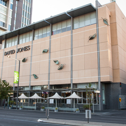 David Jones on North Terrace, former site of houses