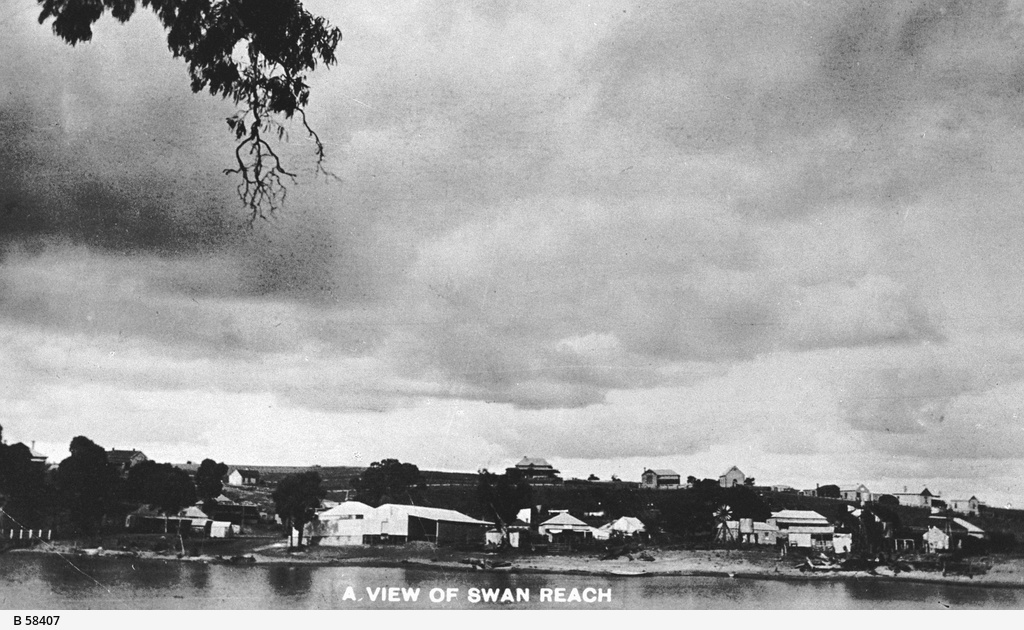 Early general view of Swan Reach • Photograph • State Library of South