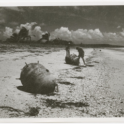 Colin James Ellis, World War II photograph album, Darwin.