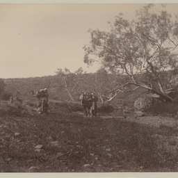Wa-Wee Waterhole