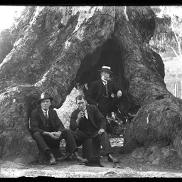 Collection of photographs taken around Adelaide by Theo Bachmann
