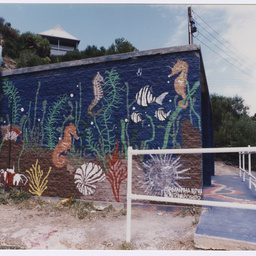 Photographs of public events and sites around Glenelg and the south-western suburbs of Adelaide