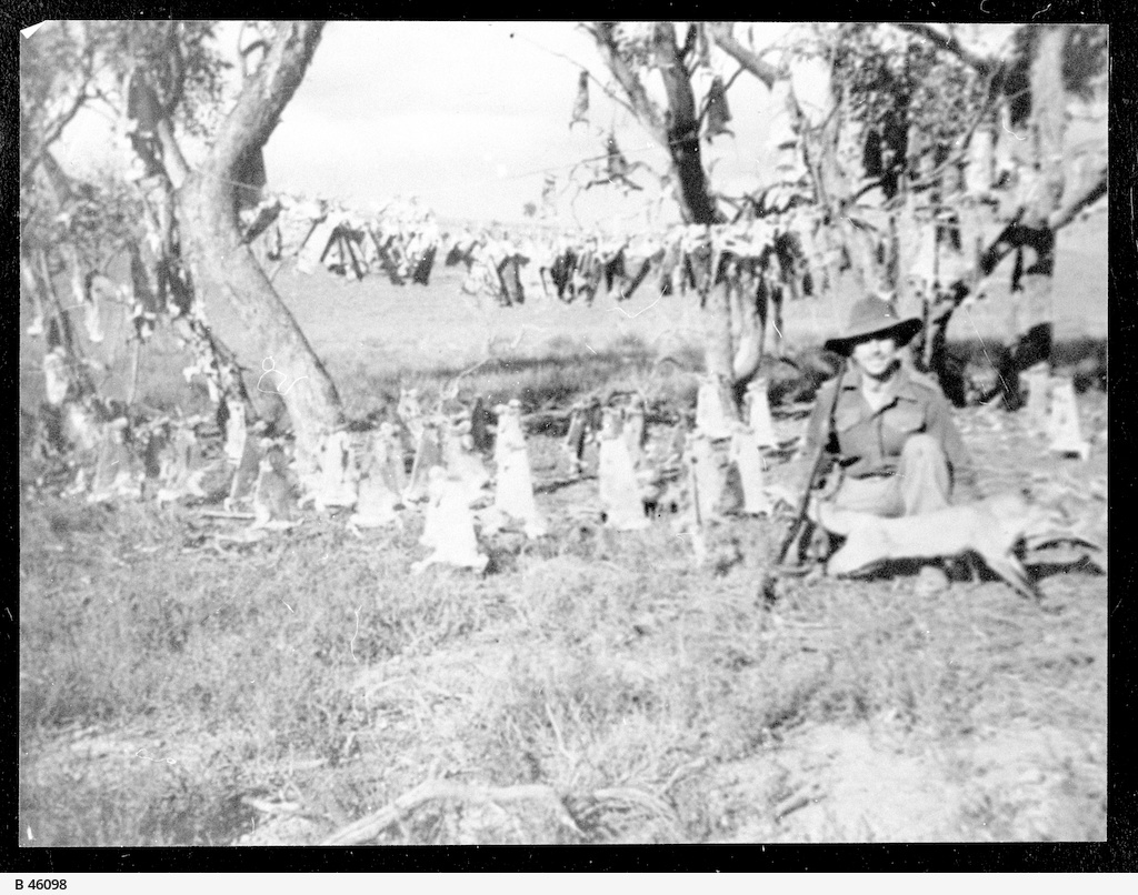 Norm Saunders • Photograph • State Library of South Australia