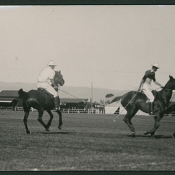 Polo match