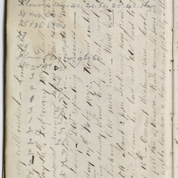 Diary of Charles Johnston