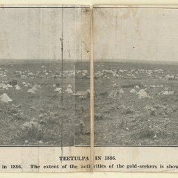 Teetulpa