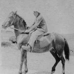 Young boy on a pony