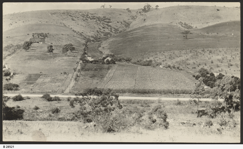 Coromandel Valley • Photograph • State Library of South Australia