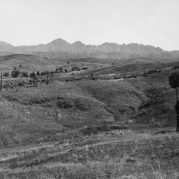Wilpena