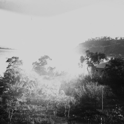 Coastal scene