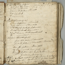 Log book of John White
