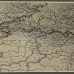 Aerial view of creeks.