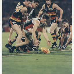 Photographs relating to football, including Adelaide Crows