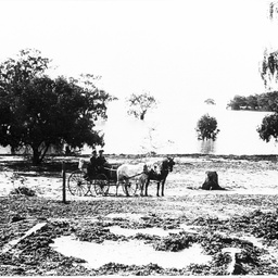Two men in horse-drawn cart at Lake Bonney in flood