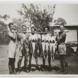 Colin James Ellis, World War II photograph album, Darwin.