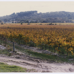 Photographs of outdoor and nature sites south of Adelaide