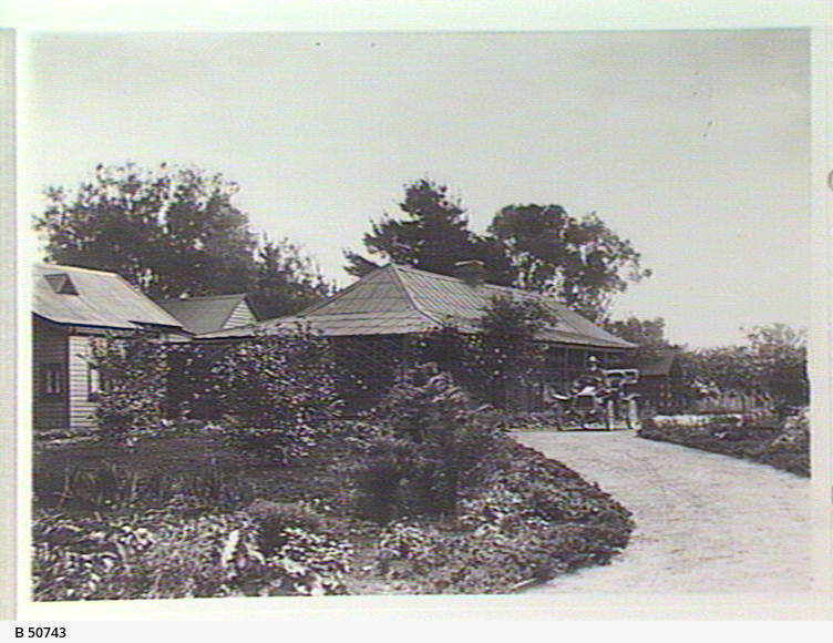 Penola Station, Penola • Photograph • State Library of South Australia