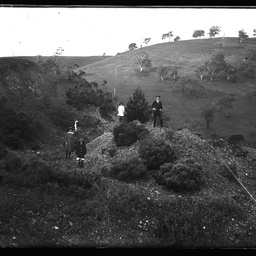 Collection of photographs taken around Adelaide by Theo Bachmann