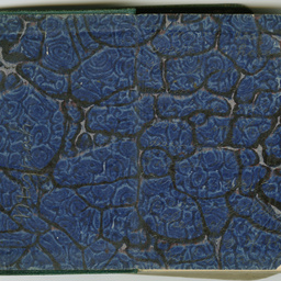 World War I diary of Frederick Leopold Terrell, 1917