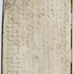 Diary of Charles Johnston