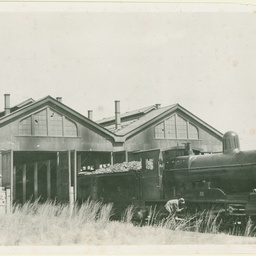 Railway Sheds, Murray Bridge