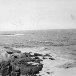Coastal scene