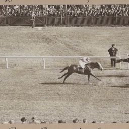 Royal Park Quality Stakes