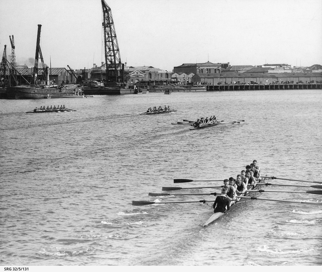 Adelaide Rowing Club Rowers • Photograph • State Library of South