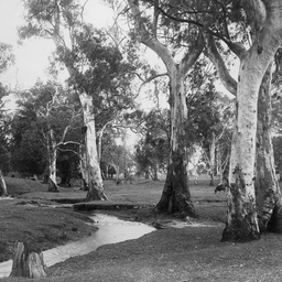 Hazelwood Park