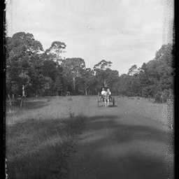 Collection of photographs taken around Adelaide by Theo Bachmann