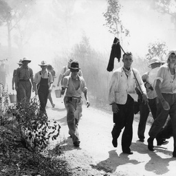 Bushfires in the Adelaide Hills