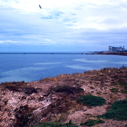 Ardrossan grain terminal