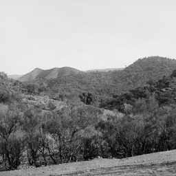 Mount Carey