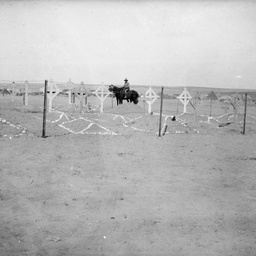 War graves.