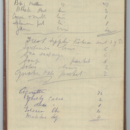 Diary of Trooper Miles Fletcher Swan