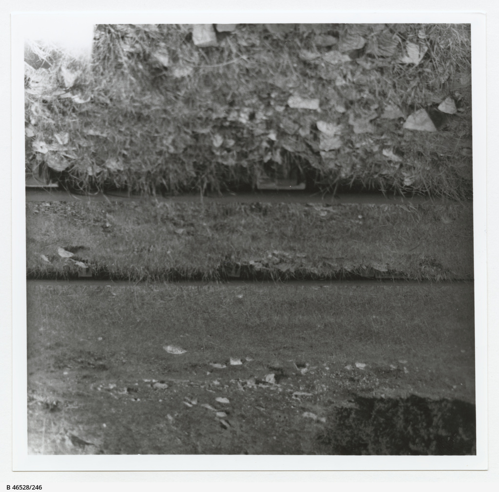 Doubleheaded rail • Photograph • State Library of South Australia