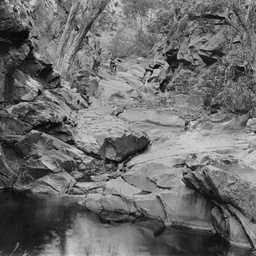 Scene